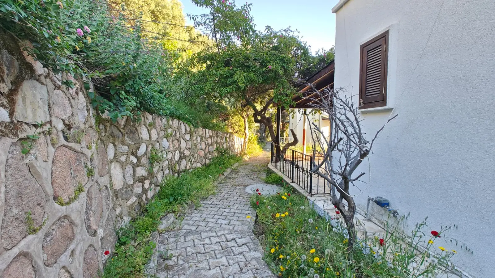 Mature garden
